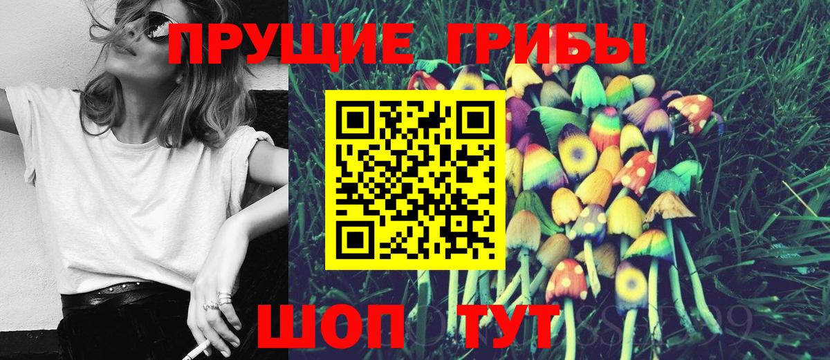 Ишимбай  Галлюциногенные грибы Psilocybe  Вход с VPN 
